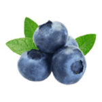 Cali Bear CBD Isolate Drops 1000mg – Organic Hemp – Bearie Berry Blueberry Icon - www.calibear.life @calibearcbd